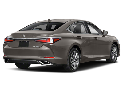 2019 Lexus ES 350 Luxury