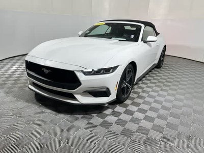 2025 Ford Mustang EcoBoost Premium