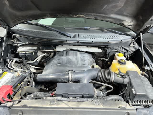 Photo 12