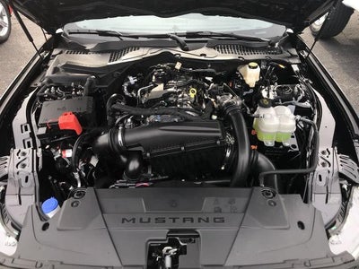 2026 Ford Mustang EcoBoost® Premium Fastback
