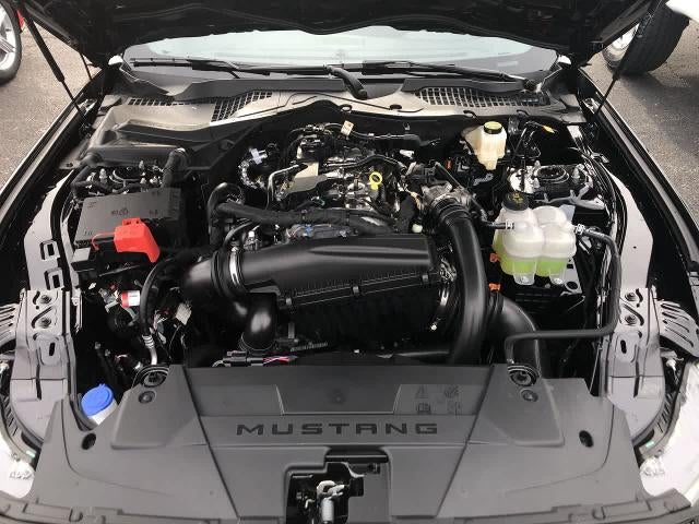 2026 Ford Mustang EcoBoost® Premium Fastback